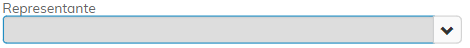 19. Representante