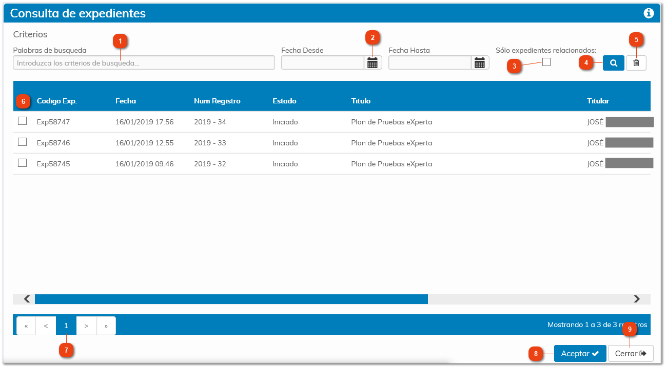 2.3.9. Consulta de Expedientes