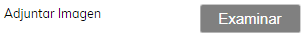 4. Adjunta imagen